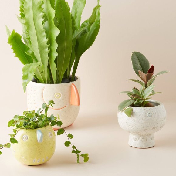 HTF Anthropologie Bird Garden Pot, Medium - Picture 3 of 3